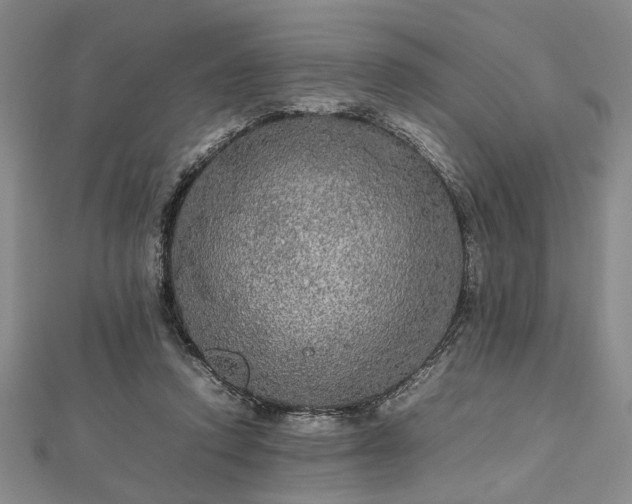 X0000112470354200908241238