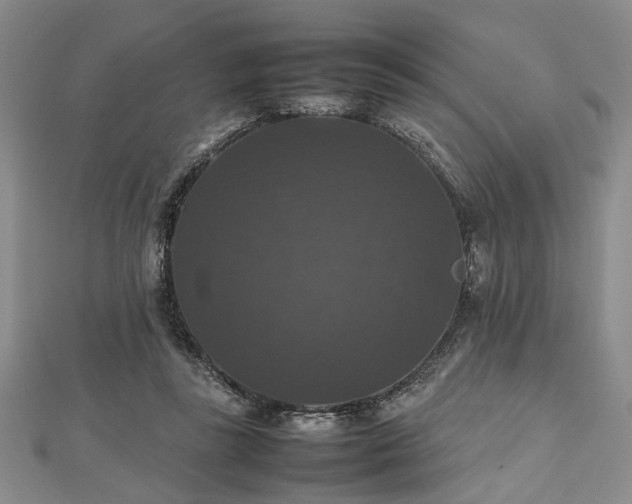 X0000112470355200908241238