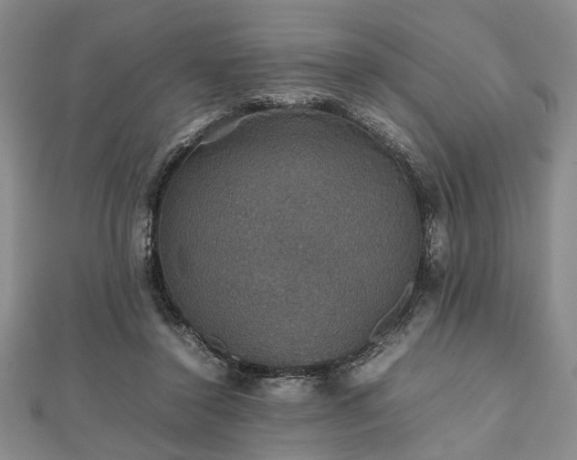 X0000112470356200908241238