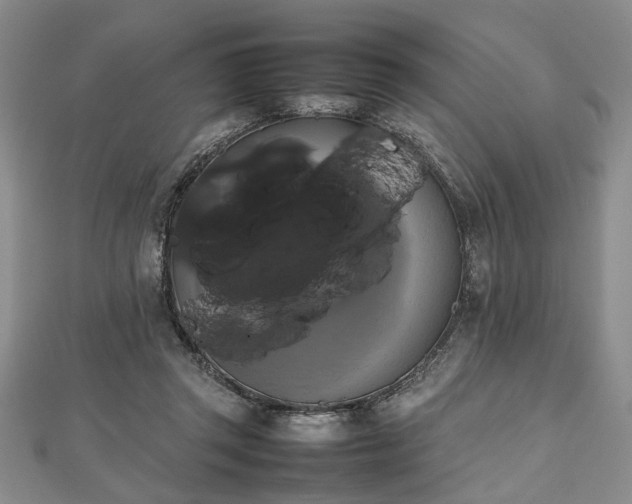 X0000112470357200908241238