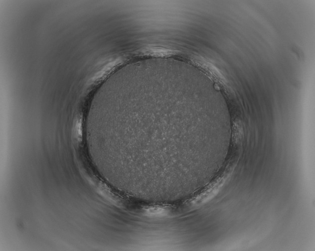 X0000112470358200908241238