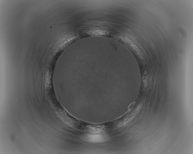 X0000112470359200908241238