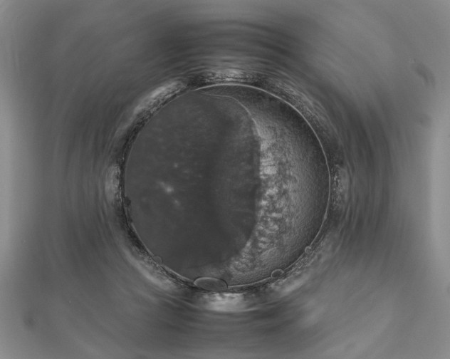 X0000112470361200908241238