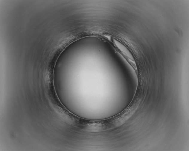 X0000112470362200908241238