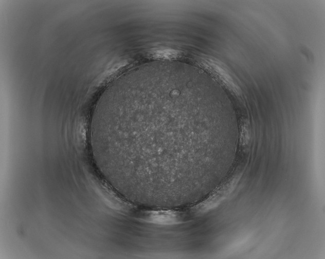 X0000112470363200908241238