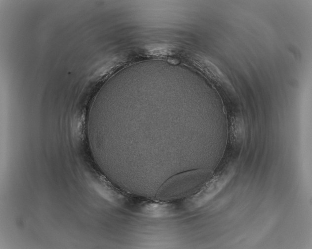 X0000112470364200908241238