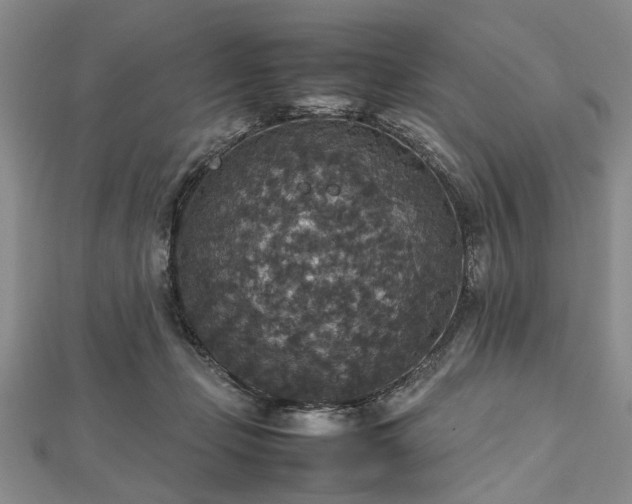 X0000112470365200908241238