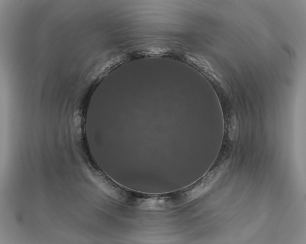 X0000112470366200908241238