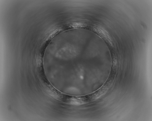 X0000112470367200908241238