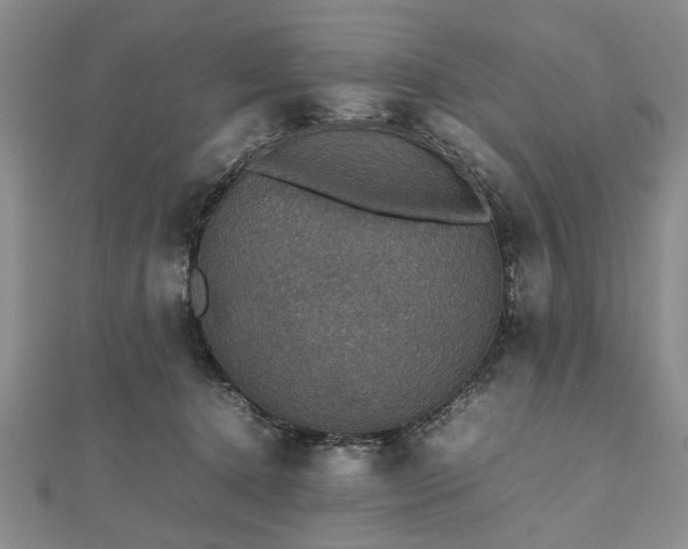 X0000112470368200908241238