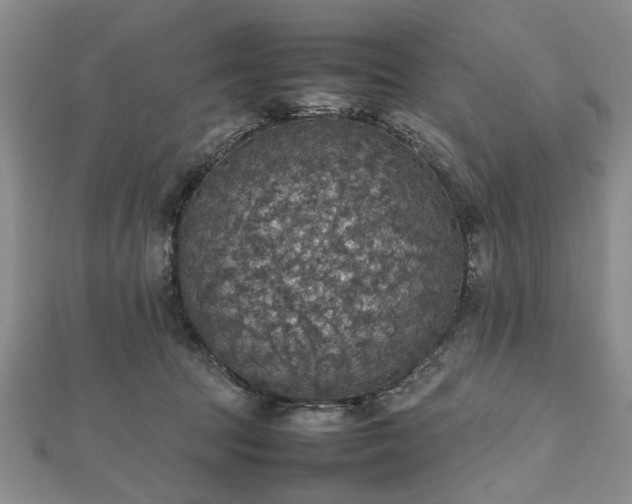 X0000112470369200908241238