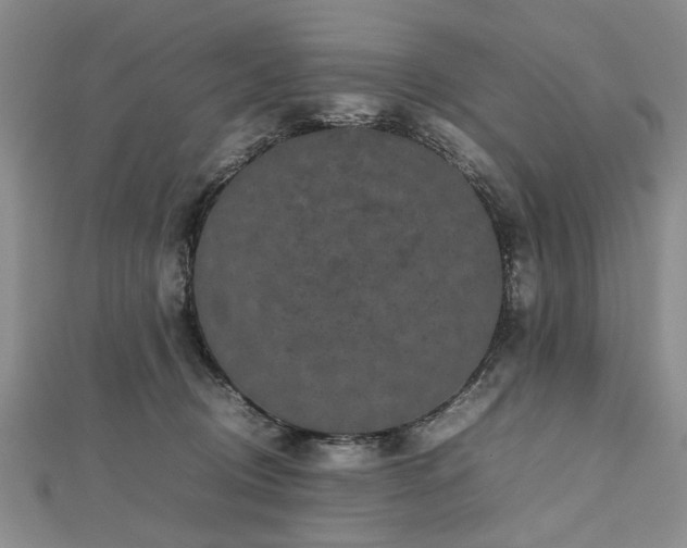 X0000112470370200908241238