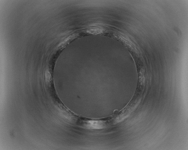 X0000112470371200908241238