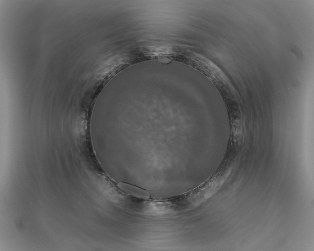 X0000112470372200908241238