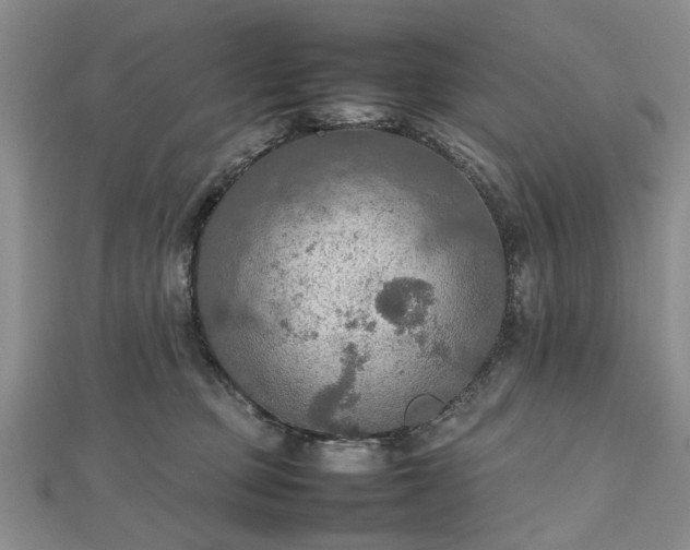 X0000112470373200908241238