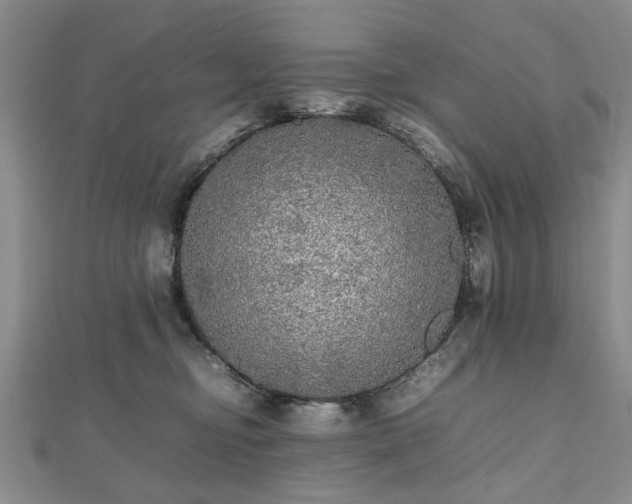 X0000112470374200908241238