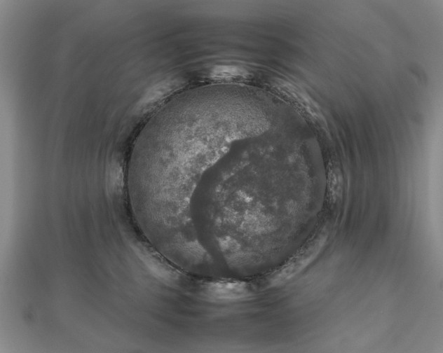 X0000112470375200908241238