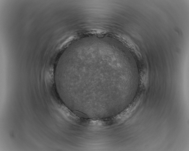 X0000112470376200908241238