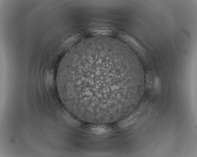 X0000112470377200908241238