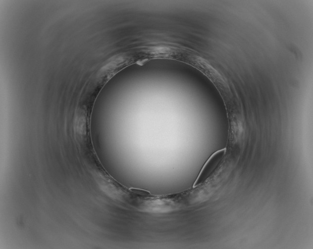 X0000112470379200908241238