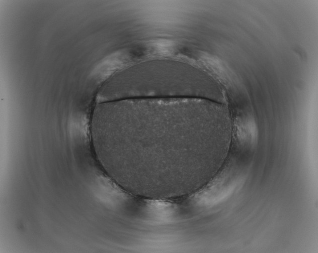 X0000112470380200908241238