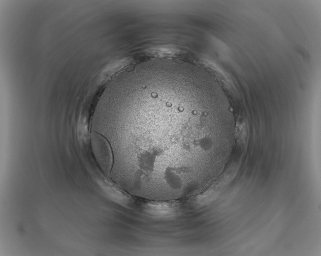 X0000112470381200908241238