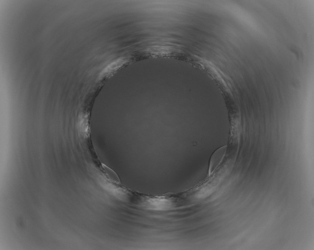 X0000112470383200908241238