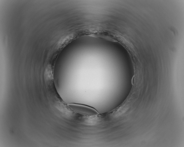 X0000112470384200908241238