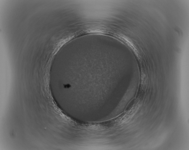 X0000112470385200908241237