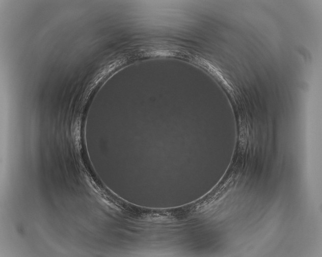 X0000112470386200908241237