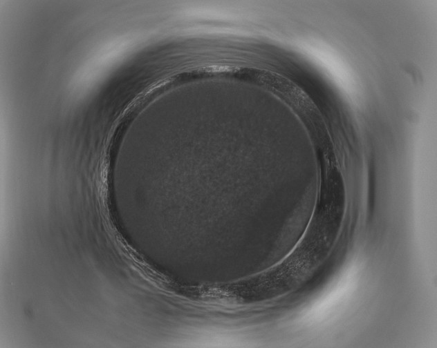 X0000112470387200908241237