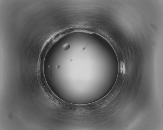 X0000112470388200908241237