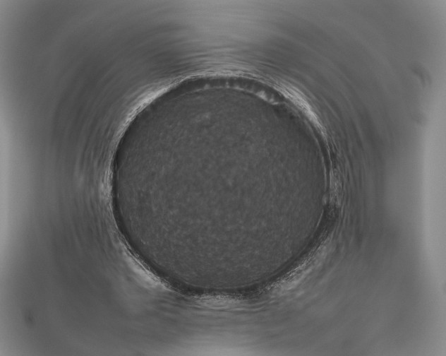 X0000112470389200908241237