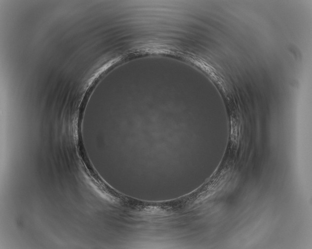 X0000112470390200908241237