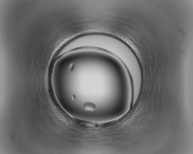 X0000112470391200908241237