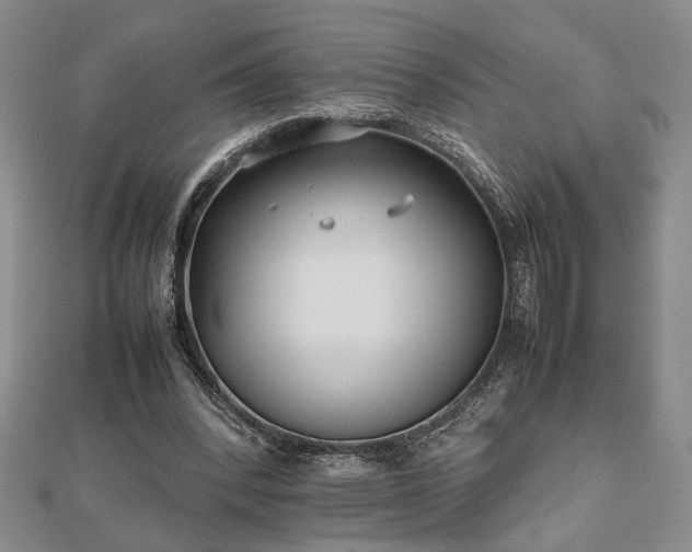 X0000112470392200908241237