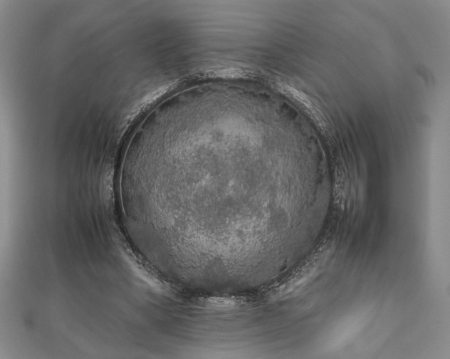 X0000112470394200908241237