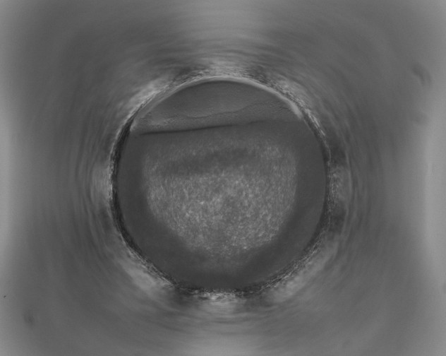 X0000112470395200908241237