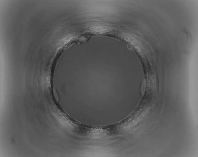 X0000112470399200908241237