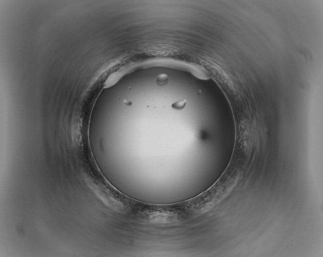 X0000112470400200908241237