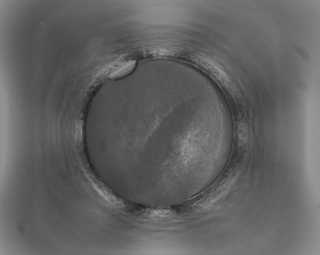 X0000112470401200908241237