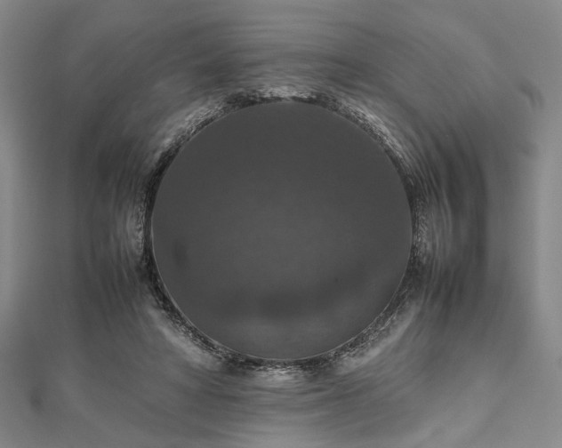 X0000112470402200908241237