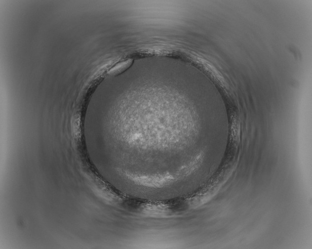 X0000112470403200908241237