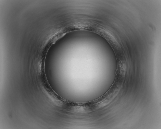 X0000112470404200908241237