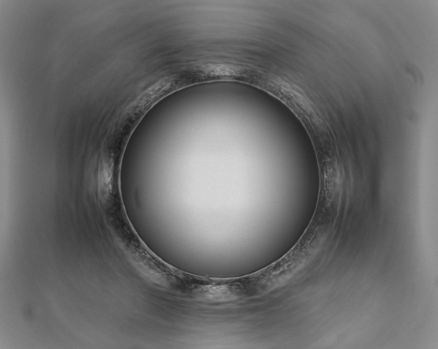 X0000112470406200908241237