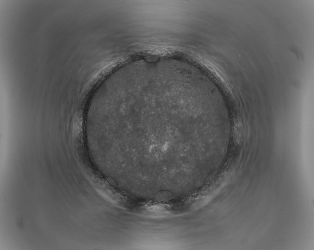 X0000112470407200908241237