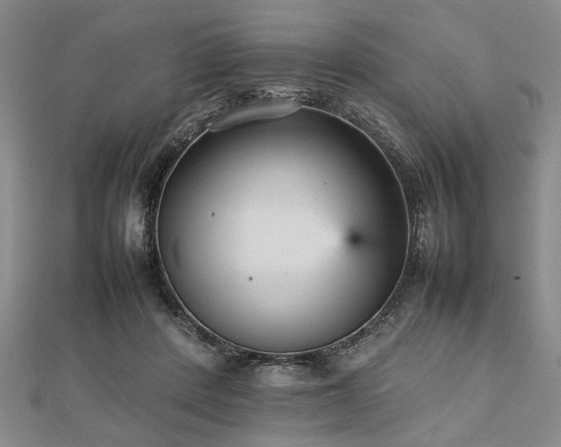 X0000112470408200908241237