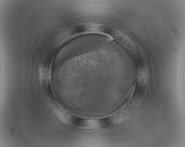 X0000112470409200908241237