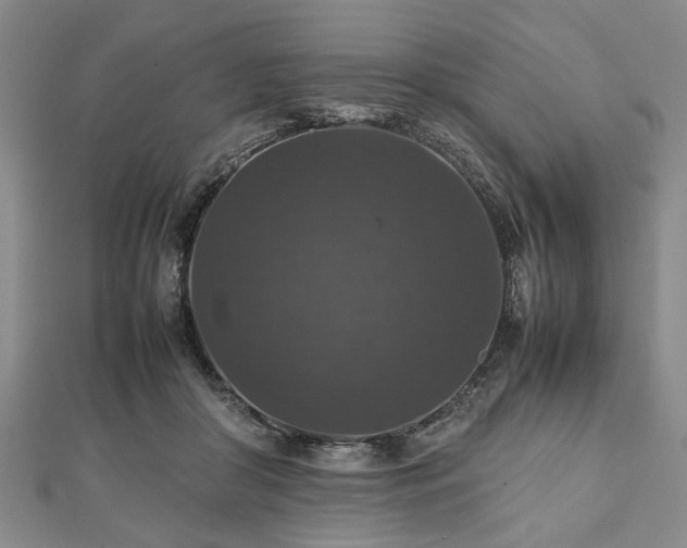 X0000112470410200908241237