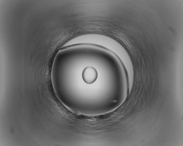 X0000112470411200908241237